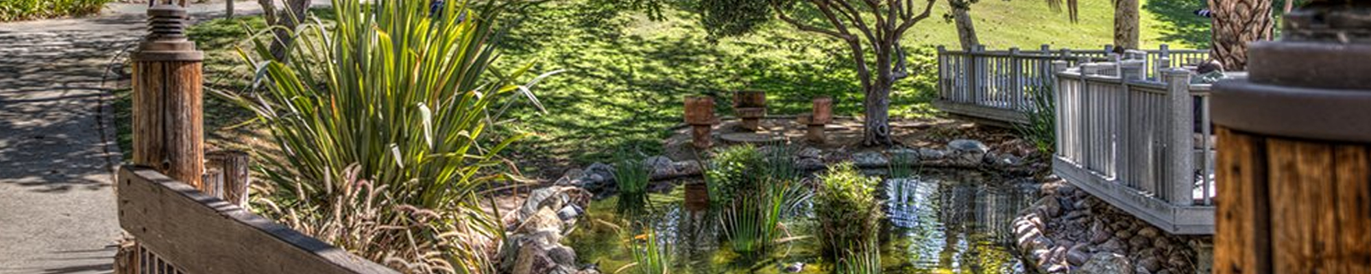 SDSU Scripps Cottage pond